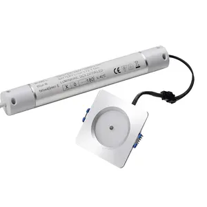 Luce Spot a soffitto a LED IP20 in alluminio involucro di emergenza Downlight funzionamento batteria luce di emergenza con 3W