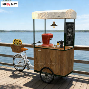 Vélo électrique pour boissons artisanales avec fibre de verre pour des solutions alimentaires durables, chariot tricycle pour crème glacée avec congélateur - Product Image 4