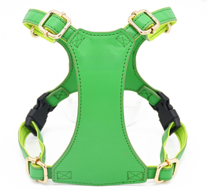 Arné<span class=keywords><strong>s</strong></span> de Mochila de Cuero y Aleación para Mascotas con Correa para Gatos y Perros Pequeños - <span class=keywords><strong>Mini</strong></span> Mochilas de Entrenamiento para Paseos al Aire Libre y Senderismo - Product Image 4