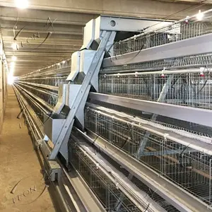Hochwertige automatische Steuerung A Typ Legehennen Schicht Hühner käfig für Geflügelfarm in Angola