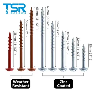 Vis autotaraudeuses Ruspert à tête cylindrique carrée, revêtement zinc, pour trous de poche dans le bois (Jig <span class=keywords><strong>Kreg</strong></span>) - Product Image 3