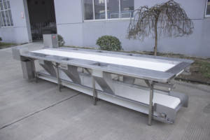 Fabrika ucuz fiyat endüstriyel paslanmaz çelik patates soğan elma domates sebze meyve toplama seçme konveyör - Product Image 5