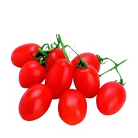 Certifications de produits multiples, poudre d'extrait de baies miracles très vendue, poudre d'extrait de Synsepalum Dulcificum de haute qualité
