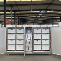 Machine automatique de culture de pousses de haricots pour usage commercial |   Équipement de germination de haricots noirs Mung de haute performance, composants PLC, 4 kW, 220 V