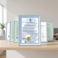 Poudre de cinq épices chinoises séchées aromatisée au poulet, mélange d'épices halal de haute qualité certifiées ISO9001, assaisonnement pour la cuisine à domicile