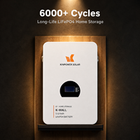 Batterie Lifepo4 murale de haute qualité 51,2 V 6000 cycles pour stockage d'énergie domestique