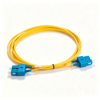 Cordon de brassage fibre optique duplex personnalisé monomode OS2 9/125um LC vers SC 2 fibres, fabriqué par le fabricant
