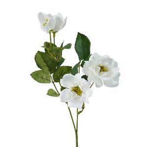 18 "MINI <span class=keywords><strong>FLORIBUNDA</strong></span> <span class=keywords><strong>ROSA</strong></span> FLOR SPRAY[EF11038] - Product Image 6