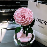 Beliebtes Geschenk Valentinstag Dekorationen Ewige Rose konservierte Blume für immer Rose in Glaskuppel für Muttertag