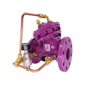 Válvula Reductora de Presión Pilotada de Hierro Fundido PRV-4102 ASTM A48 ASTM A395 con Rosca BSPT - Product Image 1