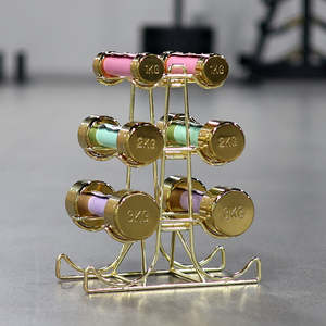 For <strong>Women</strong> and Kids Round Golden Steel <strong>Dumbbell</strong> <strong>Sets</strong> 1kg 2kg 3kg Colorful Foam Handle Cover - Product Image 6