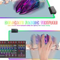 Anime Blue RGB Tapis de souris de jeu avec lumière LED Grand tapis de bureau Base antidérapante Cute Animal Cats Tapis d'ordinateur et d'ordinateur en stock