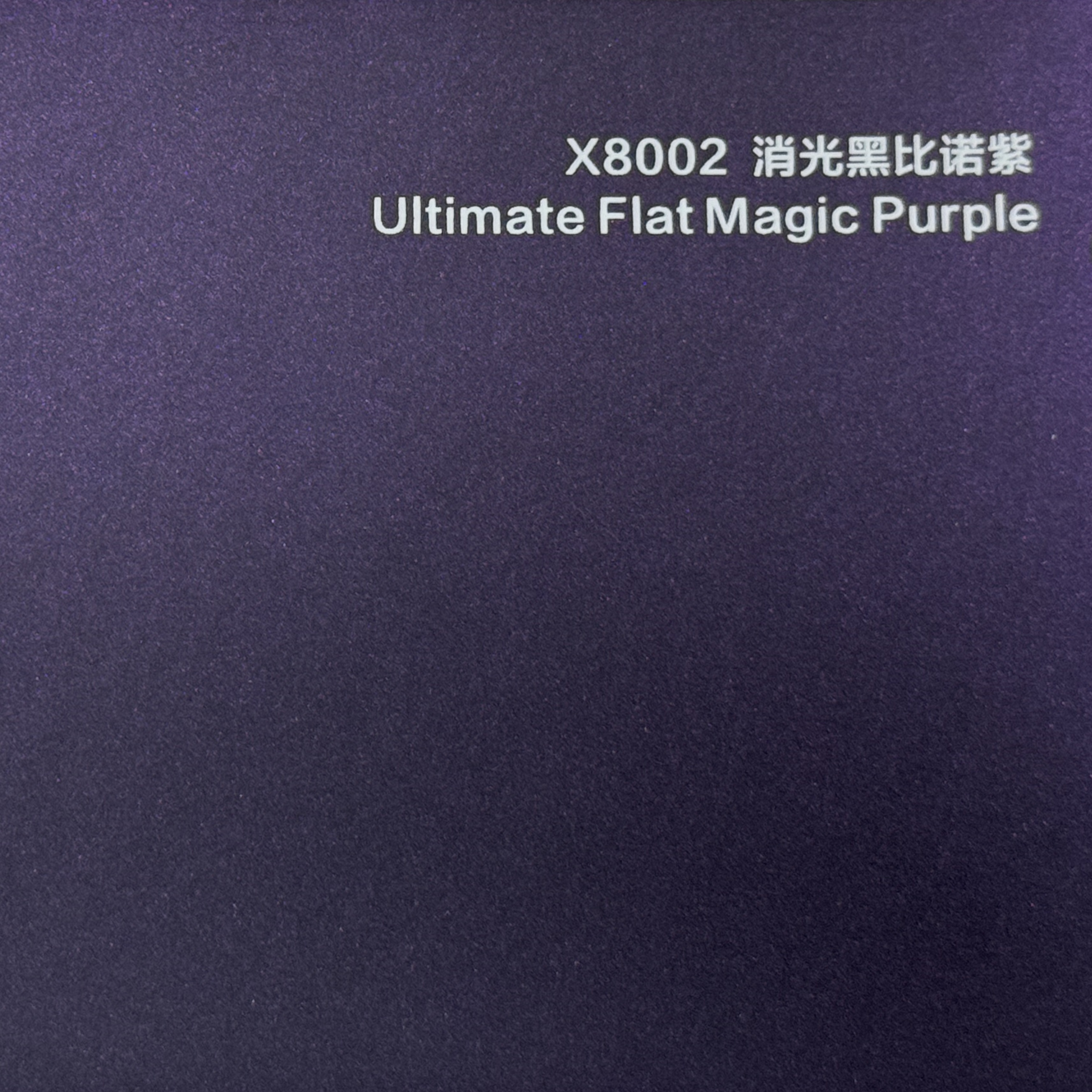 Violet magique plat ultime