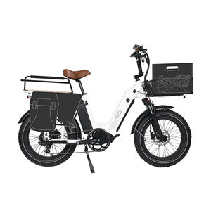 <span class=keywords><strong>2023</strong></span> Offre Spéciale Cargo Ebike 750w Fat Wheel Vélo électrique parfait pour la famille et les déplacements - Product Image 4