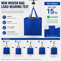 Sac fourre-tout réutilisable en non-tissé avec logo personnalisé, marque OEM, sac de shopping écologique avec impression sérigraphique, article promotionnel avec poignées