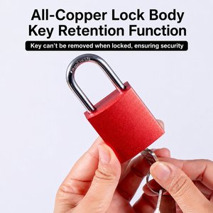 <span class=keywords><strong>Cadenas</strong></span> en aluminium gravé au laser personnalisé avec noyau de serrure remplaçable – Fabrication usine - Product Image 2