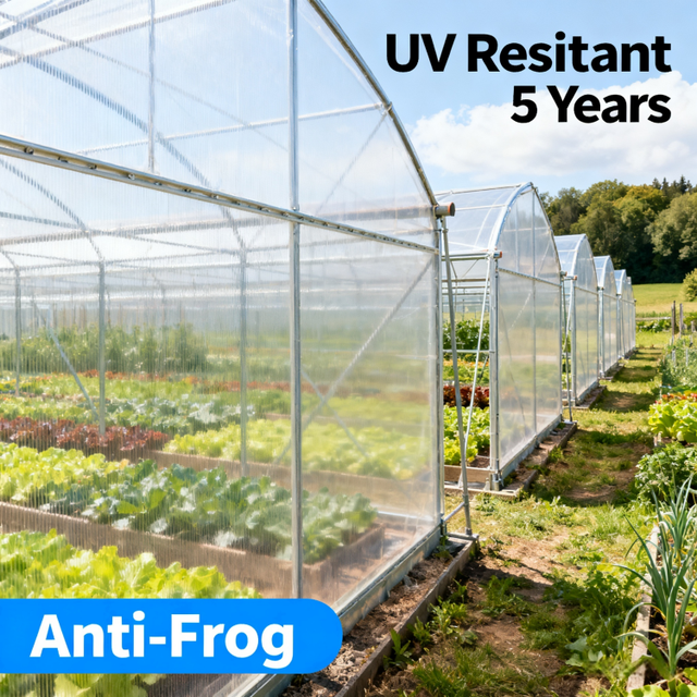 Greenhouse Film PO Diffuse High Insulation UV Resistant 180 Micron Vegetable Horticultural Fruit Crop Cover Protective