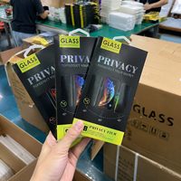 Protection d'écran en verre trempé anti-espion à 30 degrés pour iPhone 12 13 14 15 16 Mini Pro Max Plus SE XR 11
