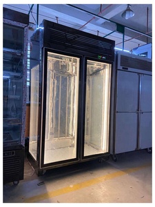 Refrigerador para Maduración en Seco de Carne de Res, Refrigerador para Maduración de Carne - Product Image 4