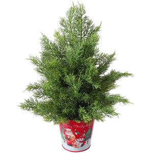 Albero di <span class=keywords><strong>Natale</strong></span> Artificiale 45cm in PE con Foglie di Cipresso, Base in Ferro, Mini Albero da Tavolo <span class=keywords><strong>per</strong></span> Decorazione Casa, Regalo Natalizio OEM - Product Image 1