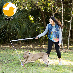 Dog flirt Pole Toy tug Tease Wand Non-Bungee Cord Dog Toy for Fun Obedience Training Toy - Product Image 2