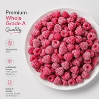 Graad A Halal IQF Diepvries Frambozen Groothandel |   100% natuurlijke verse rode frambozen, hele, voor smoothies, jam & bakkerijproducten