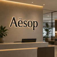 Enseigne personnalisée en acier inoxydable et acrylique avec logo rétroéclairé LED 3D, à fixer au mur pour les magasins de détail en extérieur
