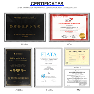 Agente de Carga Rápido y Económico de Amazon FBA, de China a EE. UU., Europa, Reino Unido, Australia, Servicios Logísticos Puerta a Puerta - Product Image 2