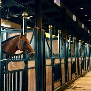 <span class=keywords><strong>Abris</strong></span> pour <span class=keywords><strong>chevaux</strong></span> galvanisés mobiles temporaires extérieurs Stalle d'écurie portable pour <span class=keywords><strong>chevaux</strong></span> avec toit - Product Image 1
