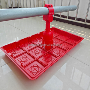 Système d'alimentation pour poulets de ferme avicole QA, ligne d'alimentation pour poules pondeuses et poulets de chair, plaque d'alimentation, bac d'alimentation pour poulets - Product Image 6