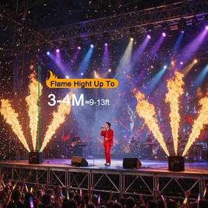 Igreslite 3 cabezales DMX Fire Flame Thrower Outdoor Dmx Stage Special Machine para Dj Circus Concert Events Flame Machine - Product Image 5