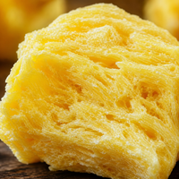 KOSHER HALAL CERTIFICAAT 100% Natuurlijke Zoete Gefreeze-droogde Ananas ODM OEM Smaakverpakking Snack Voedsel
