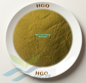 Approvisionnement direct d'usine HGO d'extrait de feuille d'olivier naturel pur (qualité alimentaire) oleuropéine 48% (extrait standardisé) - Product Image 1