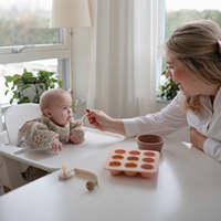 Récipient de stockage pour aliments faits maison pour bébés purées de fruits et légumes lait maternel plateau de congélation en silicone pour aliments pour bébés avec clip