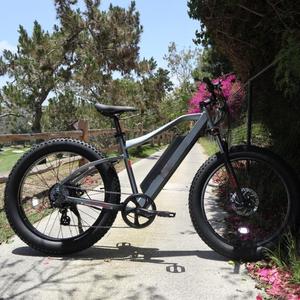 Bicicleta Eléctrica OEM Económica con Llantas Anchas, Motor Trasero de 250W 500W 750W, Gran Potencia, Pantalla LCD, Personalizable - Product Image 1