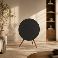 Enceintes HiFi sur pied, puissantes, pour cinéma maison, Bluetooth, multiroom, système audio domestique WiFi
