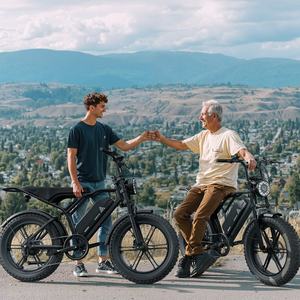 <span class=keywords><strong>Vélo</strong></span> électrique 250 Watts, prêt à être expédié depuis l'entrepôt européen, <span class=keywords><strong>vélo</strong></span> électrique 20 pouces, stock européen, <span class=keywords><strong>vélo</strong></span> <span class=keywords><strong>de</strong></span> route électrique - Product Image 6