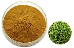 Poudre d'extrait de thé vert, polyphénols de thé 30%-98%, <span class=keywords><strong>soluble</strong></span> dans l'eau, poudre naturelle d'EGCG pour l'alimentation et les cosmétiques, approvisionnement en vrac pour les usines - Product Image 2