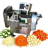 RVS groentesnijmachine voor ui, wortel, aardappel, radijs, groene paprika, snijden en in blokjes snijden, voor commercieel gebruik in de keuken