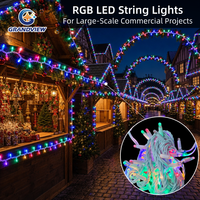 Guirlande lumineuse LED extérieure commerciale RGB robuste en caoutchouc avec indice de protection IP65 pour décorations de mariage, de fêtes et de Noël
