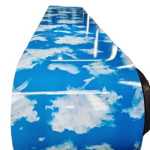 Bobina de acero recubierta de color galvanizado PPGI con estampado de flores de grano de madera de alta calidad de producción en fábrica - Product Image 6