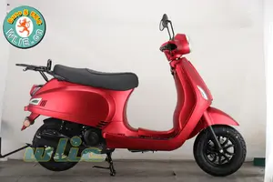 Disesuaikan 300cc Sepeda Motor Sepeda Motor Gas Skuter dan Pergi-Peds Maple 50 125 dengan Euro 5 EEC COC