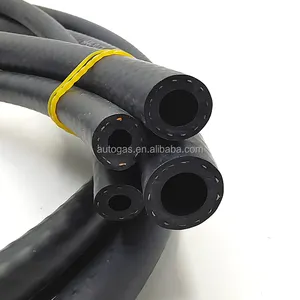 12X17 MMwater/vacuum tube/injection/pressure Auto Spare Parts CNG gas hose fuel rail Auto Spare Parts