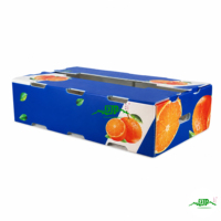 Duurzame, milieuvriendelijke, stapelbare opbergkrat van polypropyleen met holle golfstructuur voor fruit en groenten, waterdicht en UV-bestendig