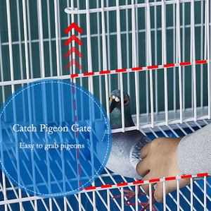Jaulas de <span class=keywords><strong>palomas</strong></span> de acero inoxidable de lujo clásicas con bandeja de plástico sólido recubierta, caja de observación con placa de hierro para emparejamiento y vuelo - Product Image 6