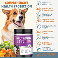 Suplemen Vitamin Anjing Alami Bentuk Kunyah Lunak Grosir Suplemen Nutrisi Hewan Peliharaan Multivitamin Perawatan Kesehatan OEM ODM