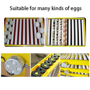 Incubateur à œufs de petite taille pour poulets, œufs d'<span class=keywords><strong>autruche</strong></span>, double alimentation, <span class=keywords><strong>prix</strong></span> d'usine TUOYUN - Product Image 5