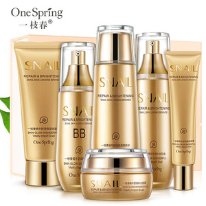 OEM/ODM tek bahar salyangoz besleyici altı parçalı Set yüz bakımı <span class=keywords><strong>i</strong></span>çin nemlendirici sıkılaştırı<span class=keywords><strong>c</strong></span>ı ve ihale cilt bakım ürünleri - Product Image 4