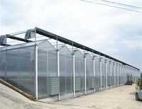 Serres en polycarbonate Equipement PC Serres vertes pour la culture agricole