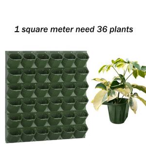 Jardinera Vertical de Pared con Tres Bolsillos para Plantas Colgantes, Venta al Por Mayor de Fábrica - Product Image 4